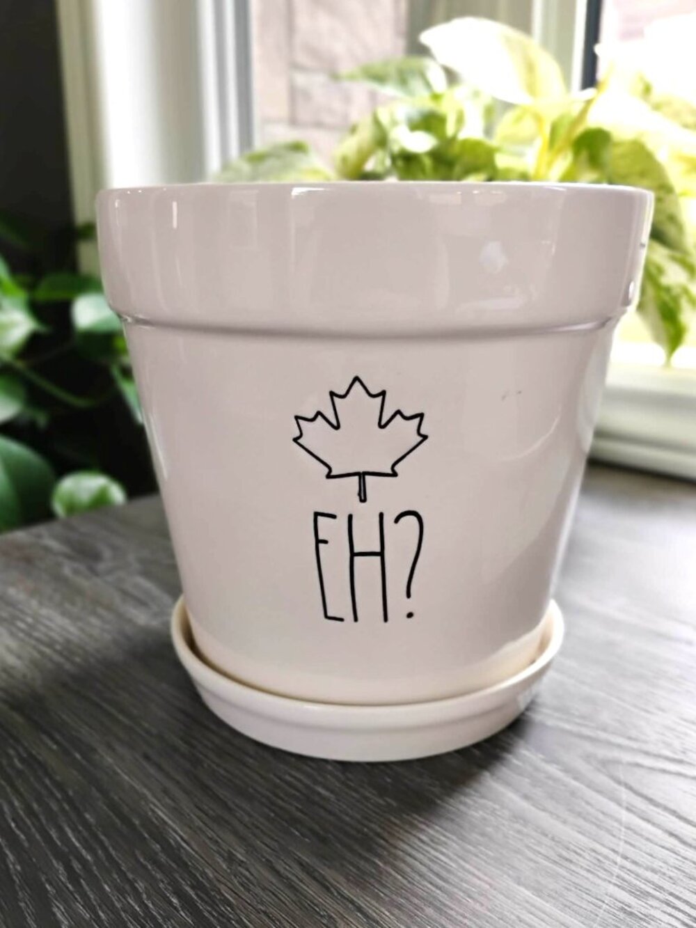 Rae Dunn 7' Planter Pot Canadian Edition EH?